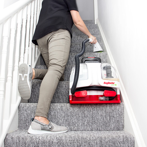 Rug doctor pet portable spot - rug,